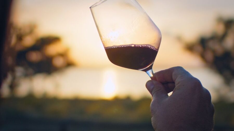 Torrevieja: Local Wine and Food Tasting Tour in La Mata Park - Starting at the Centro de Interpretación