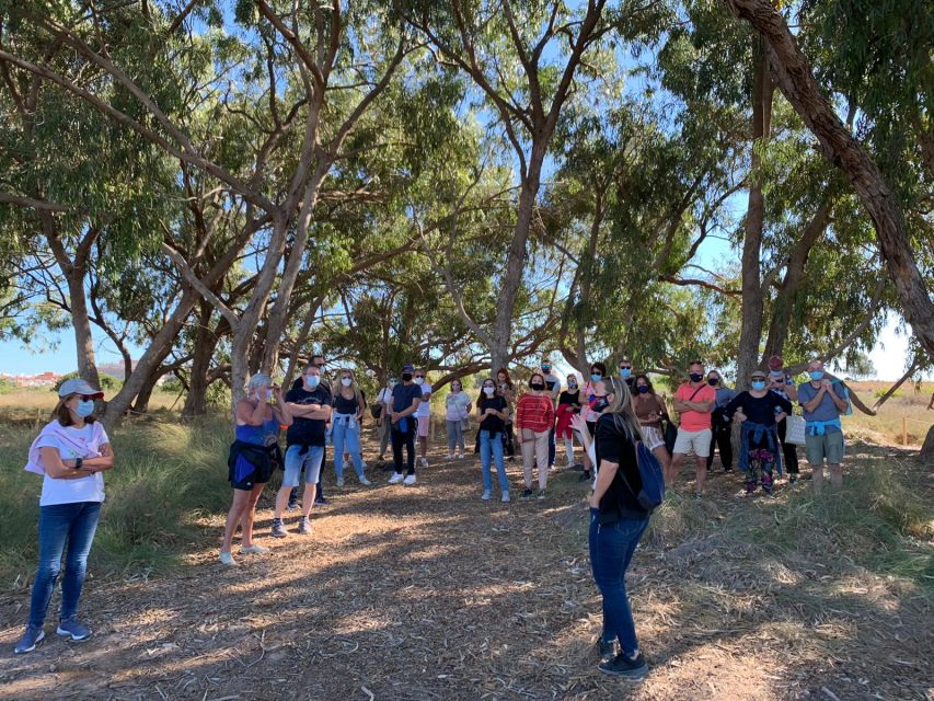 Torrevieja: Local Wine and Food Tasting Tour in La Mata Park - Three Alicante wines at the tasting table