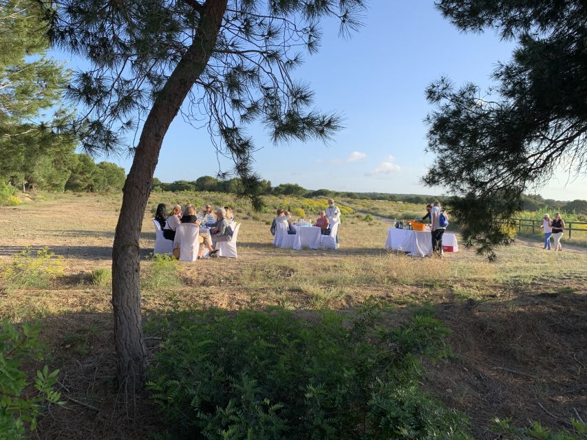 Torrevieja: Local Wine and Food Tasting Tour in La Mata Park - Olive oil, goat cheese, and two tapas