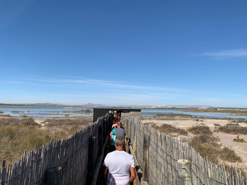 Torrevieja: Local Wine and Food Tasting Tour in La Mata Park - What changes during the summer heat