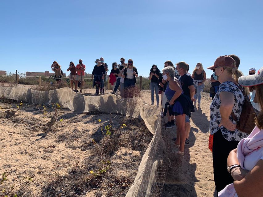 Torrevieja: Local Wine and Food Tasting Tour in La Mata Park - Accessibility and the real condition of the route