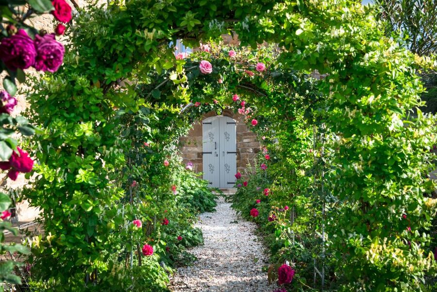 Total Immersion Wine Tour in Chianti - Key details before you book