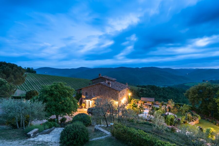Total Immersion Wine Tour in Chianti - A small winery in the high Chianti hills