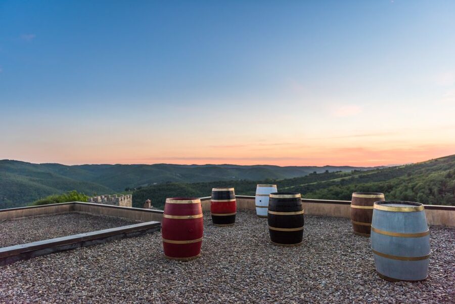 Total Immersion Wine Tour in Chianti - Inside the cellar, from harvest to aging