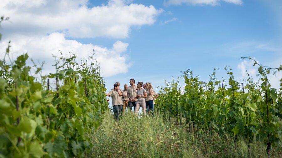 Total Immersion Wine Tour in Chianti - What the food adds to the experience