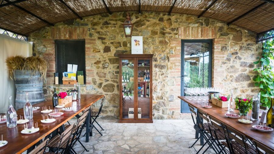 Total Immersion Wine Tour in Chianti - Is the $47 price fair?