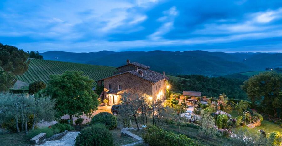 Total Immersion Wine Tour in Chianti - The rooftop opening and the Black Rooster