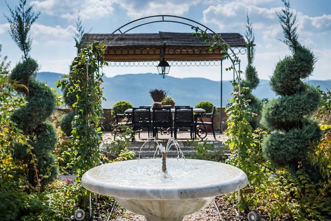 Tour and Tasting at an Organic Winery in the Heart of Chianti Classico Area - Who Will Enjoy This Wine Tour Most