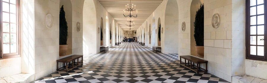 Tours/Amboise: Chambord, Chenonceau Day Trip & Wine Tasting - Why this Loire Valley day works so well
