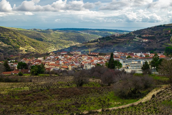 Troodos Mountains Vino Venture: All Inclusive Full Day Wine Tour - The guide can shape the day