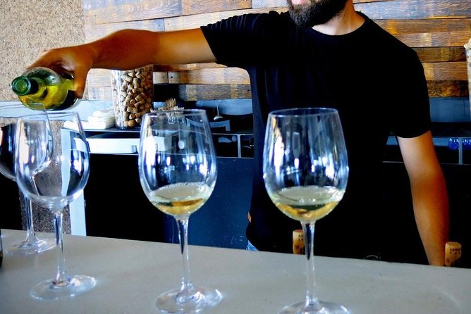 Troodos Mountains Vino Venture: All Inclusive Full Day Wine Tour - Is $142.76 a fair price?