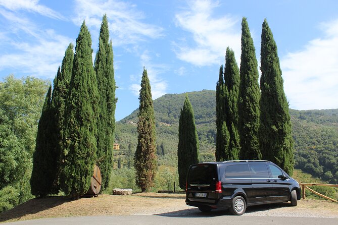 Tuscan Wine Tour in Lucca by van - Key points to know before booking