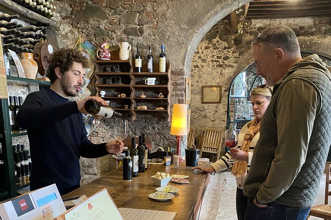 Tuscan Wine Tour in Lucca by van - First winery: wine made on a human scale