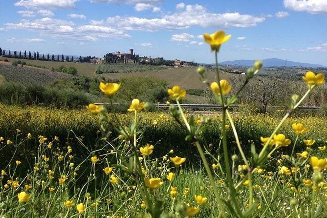 Tuscany Bike Tours Through the Chianti Hills with Wine Tasting - Is $145.12 a fair price?
