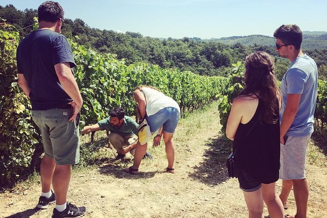 Tuscany Wine Tour: 2 Wineries & Chianti from San Gimignano - Is $181.02 a fair price?