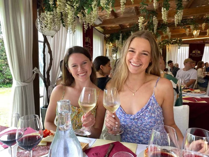 Tuscany Wine Tour: 2 Wineries & San Gimignano from Florence - Lunch, comfort, and practical details