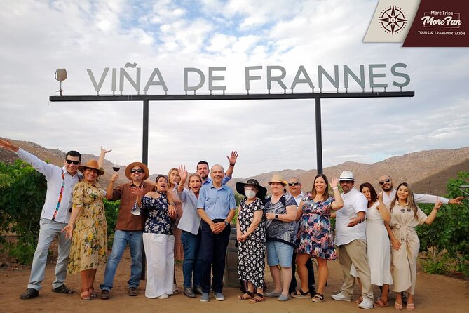 Valle de Guadalupe winery and brewery tours - A flexible day in Valle de Guadalupe