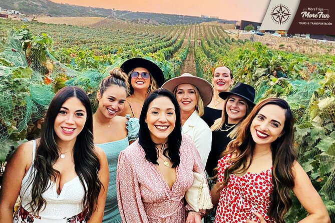 Valle de Guadalupe winery and brewery tours - Who will get the most from this tour