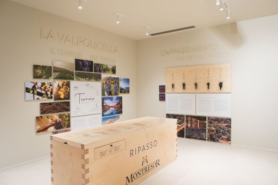 Verona: Montresor Winery Visit with Wine Tasting and Snacks - Key points to know before you book