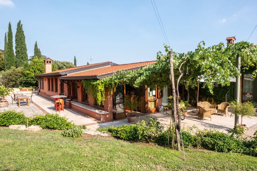 Verona: Wine Tasting with Snacks and Panoramic Views - Cold cuts, cheeses, and a light meal