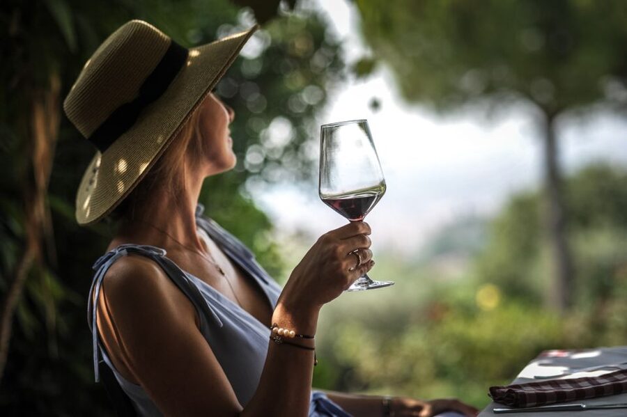 Verona: Wine Tasting with Snacks and Panoramic Views - The terrace is the real finale