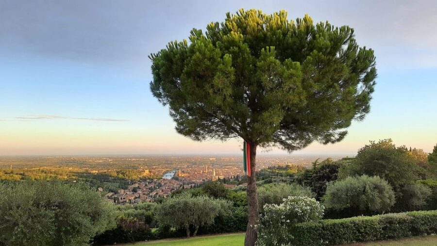 Verona: Wine Tasting with Snacks and Panoramic Views - Is $53 a fair price?
