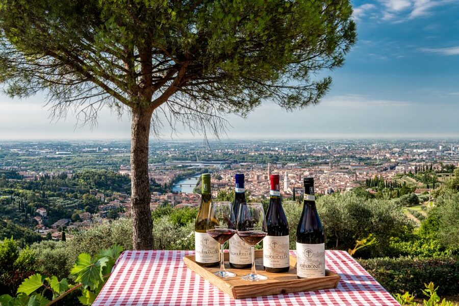 Verona: Wine Tasting with Snacks and Panoramic Views - Who will enjoy this experience most?