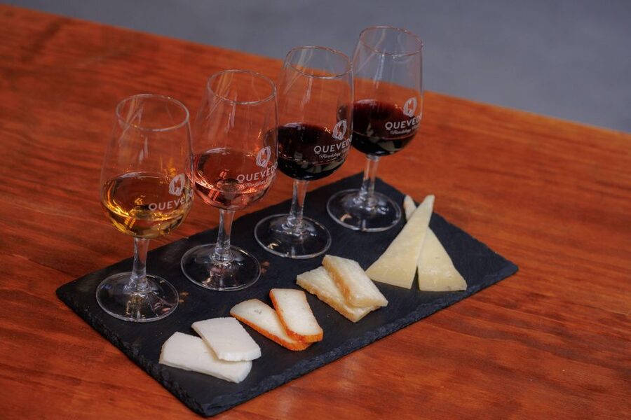 Vila Nova de Gaia: Port Wine Tasting with Cheese Pairing - Three Port styles, three different lessons
