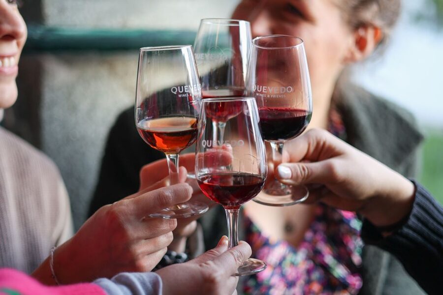 Vila Nova de Gaia: Port Wine Tasting with Cheese Pairing - A small group makes a real difference