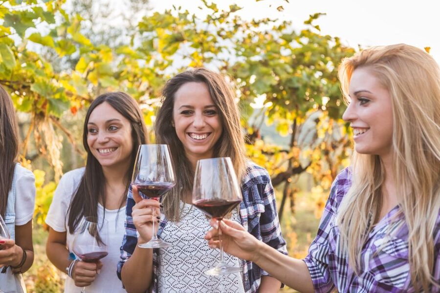 Vineyard Sips: Family Winery Tour & Gourmet Tasting in Corfu - The value of a $46 wine experience