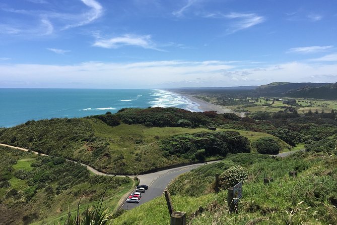 Vineyards Honey and Black Sand Beaches from Auckland - Is $183.07 a fair price?