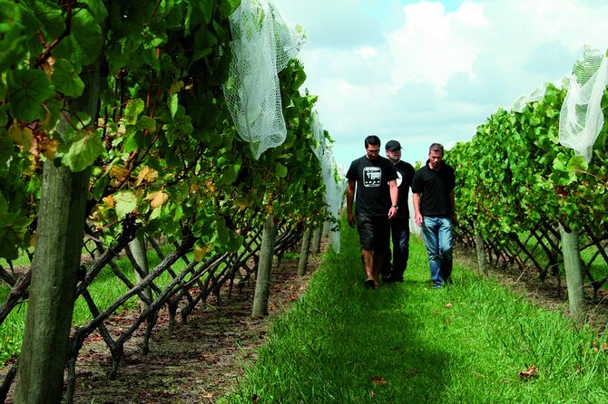 Vineyards Honey and Black Sand Beaches from Auckland - Who should book this experience?