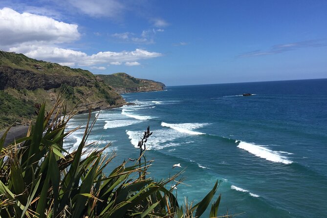 Vineyards Honey and Black Sand Beaches from Auckland - Kumeu River Wines and the mechanics of wine making
