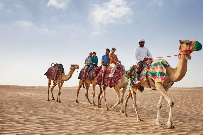 VIP Dubai Sunset Desert Safari: Camel Ride, BBQ, Unlimited Spirit - Stargazing away from Dubai’s bright lights