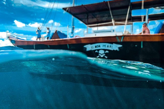 VIP Morning Delight Champagne Sailing and Snorkeling with Lunch - Timing, weather, and what to bring
