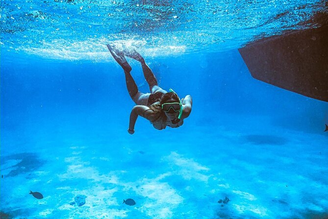 VIP Morning Delight Champagne Sailing and Snorkeling with Lunch - Malmok Beach: an easy first snorkeling stop