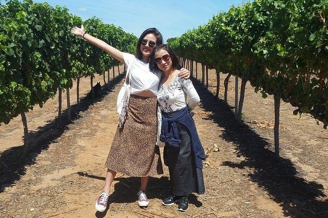 VIP Swan Valley Wine Tour - Premium Small Group Wine & Gourmet Experience - Why this Swan Valley tour works well from Perth