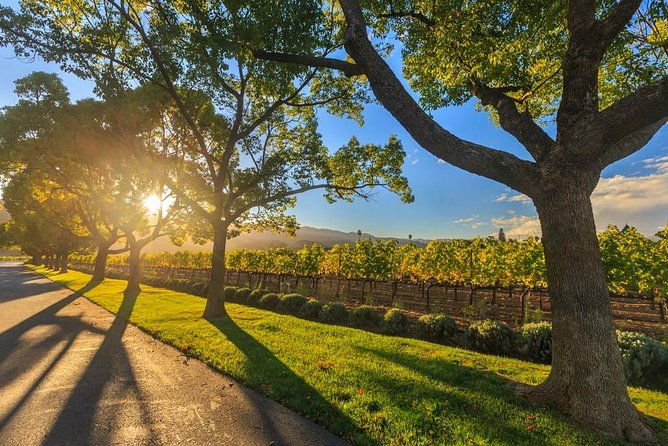 VIP Swan Valley Wine Tour - Premium Small Group Wine & Gourmet Experience - The 30-minute start from Perth