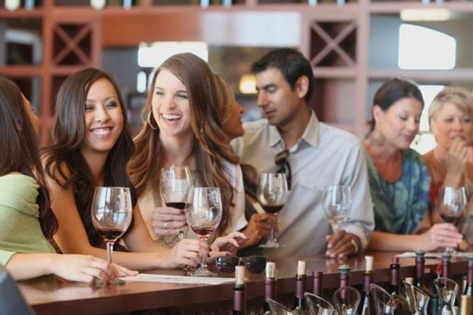 VIP Swan Valley Wine Tour - Premium Small Group Wine & Gourmet Experience - Who should book this experience
