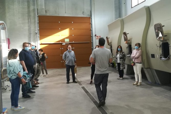 Visit and Wine Tasting at the Territorio Luthier Winery - A small winery with a strong point of view