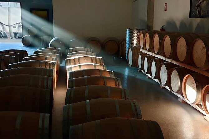 Visit and Wine Tasting at the Territorio Luthier Winery - Understanding the wines before the first sip