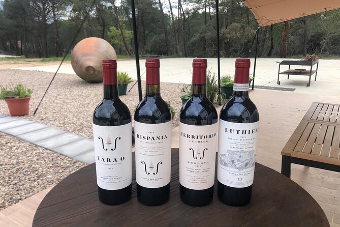 Visit and Wine Tasting at the Territorio Luthier Winery - Why the small-group limit matters