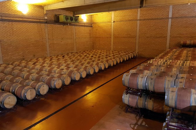 Visit and wine tasting with sausage and BODEGA PIRINEOS cheese - The guide makes the difference