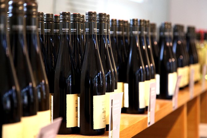 Wachau Valley Wine Tasting Bike Tour from Vienna - Lunch, village time, and the second ride