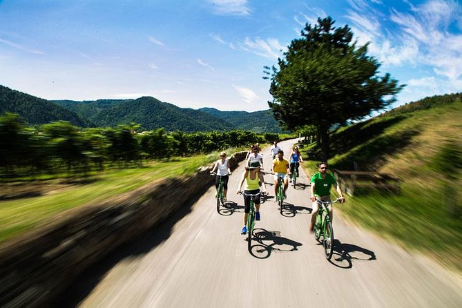 Wachau Valley Wine Tasting Bike Tour from Vienna - Weather, equipment, and what to pack