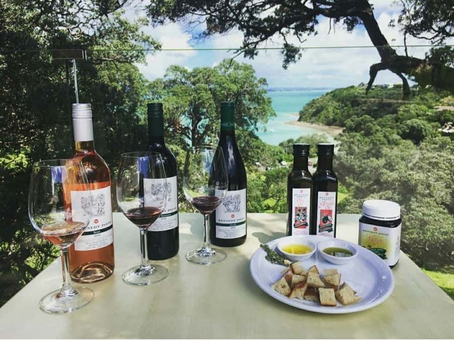 Waiheke Island Gourmet Food and Wine Tour with Lunch - First tasting: island wine with local produce
