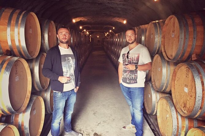 Waiheke Island Premium Wine Tour with Tastings - First vineyard: settle into the island pace