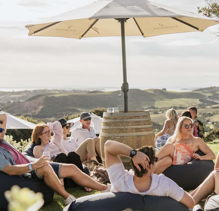 Waiheke Island: Scenic Island Wine Tour & Local Wine Tasting - Key points to know before you book