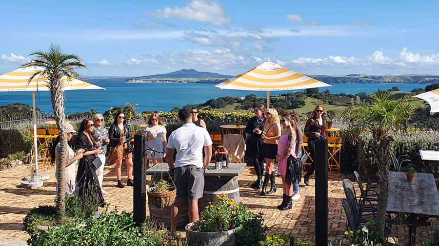 Waiheke Island: Scenic Island Wine Tour & Local Wine Tasting - The five-hour route: more wineries and a slower lunch stop