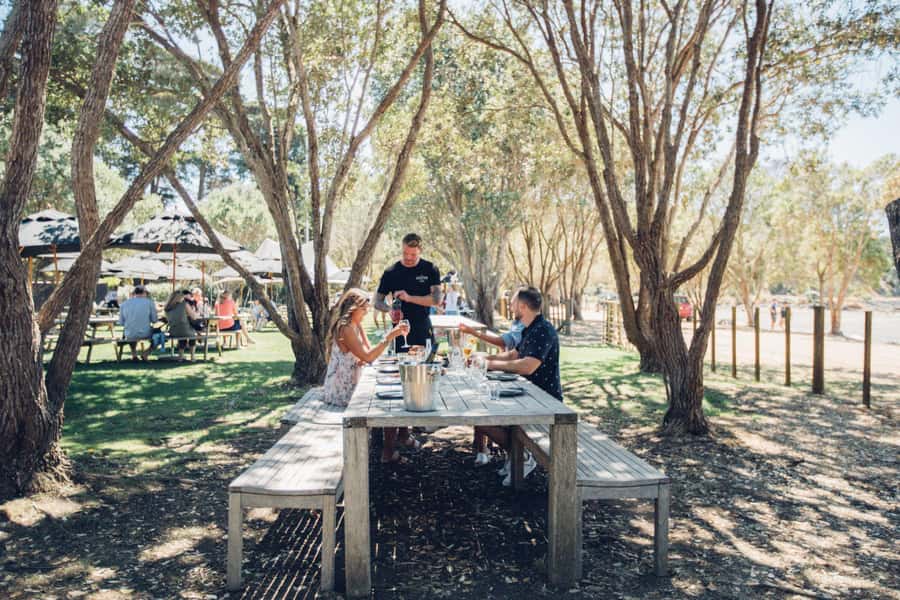 Waiheke Island: Scenic Island Wine Tour & Local Wine Tasting - Pace, comfort, and practical limits